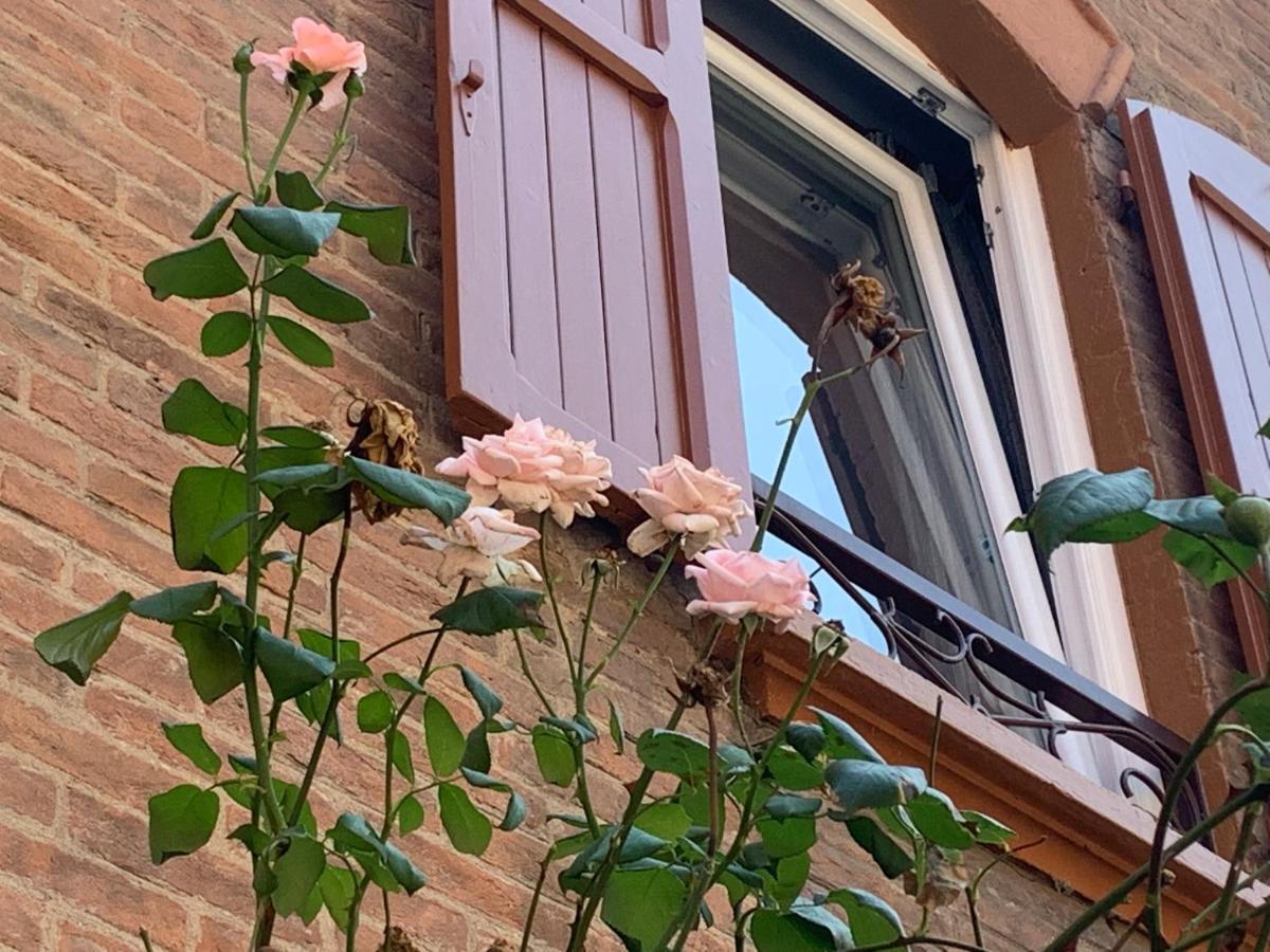 Casina Delle Rose Lägenhet Bologna Exteriör bild